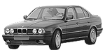 BMW E34 C101F Fault Code